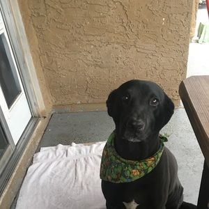 Meet your Posher, Kat